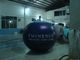 China Reuseable 5ft Bosbessenfruit Gevormde Ballons voor Reclame, de Opblaasbare Bal van de Heliumballon exporteur 